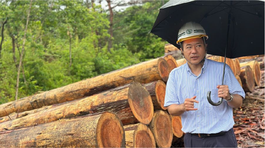 株式会社島田木材